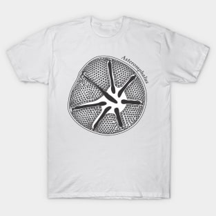 Diatom - Asteromphalus (scientific) T-Shirt